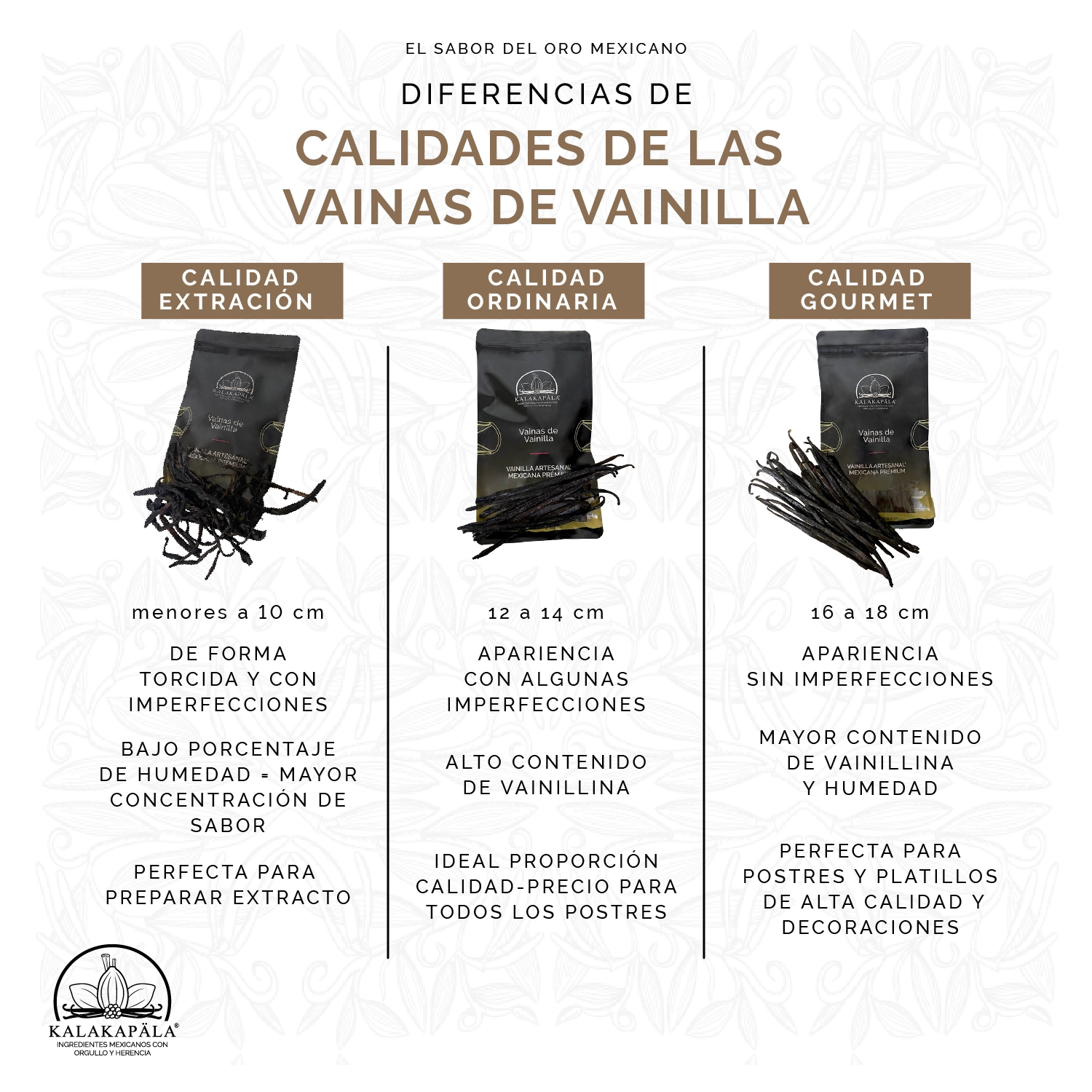 Display con 20 Tubos de Vainas miniatura 5